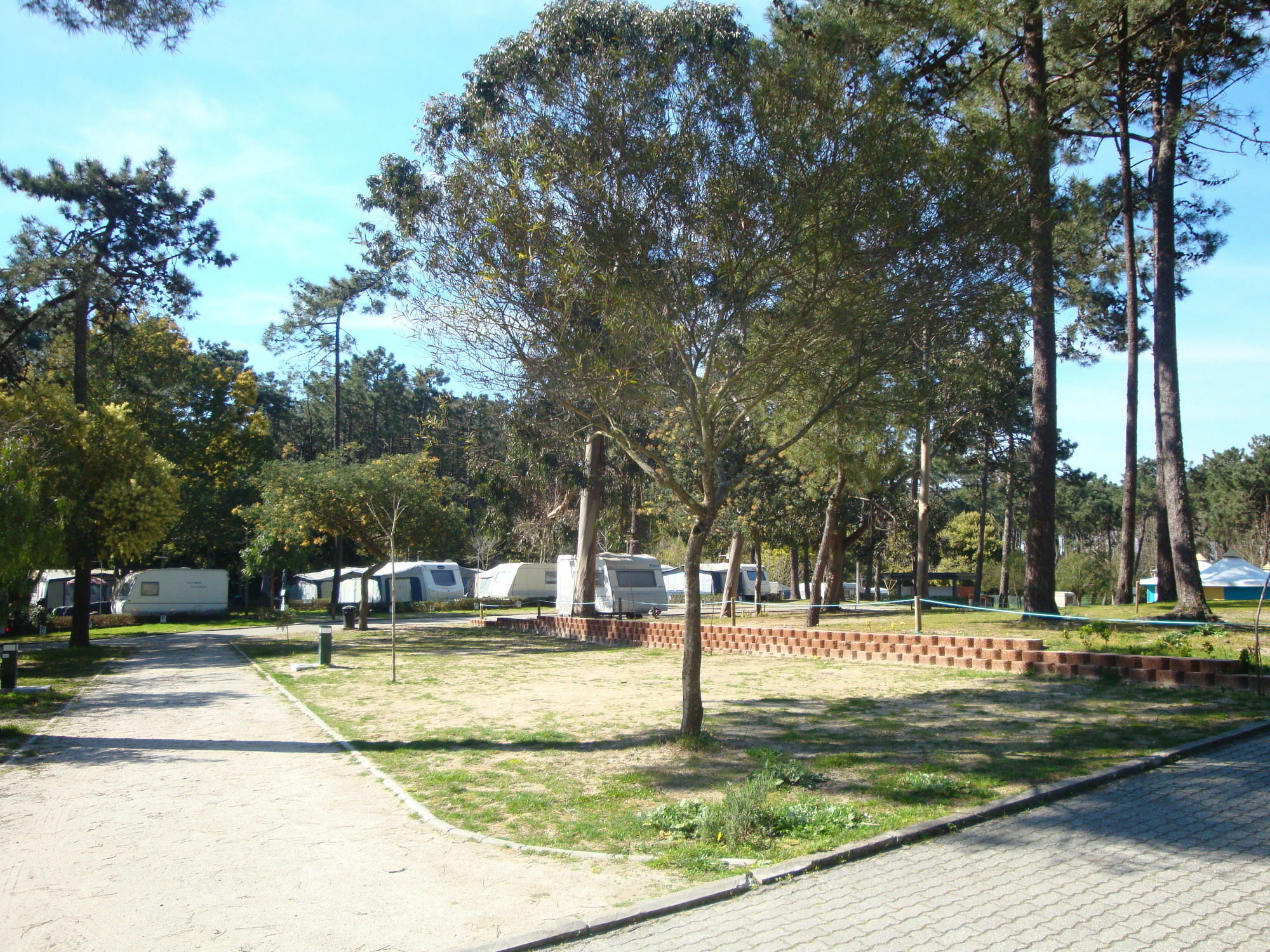 Orbitur Caminha Bungalows - Caravan Park Exterior foto